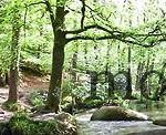 tourisme-bretagne-3