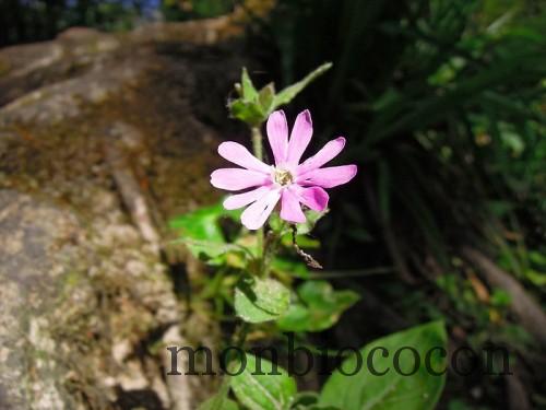 tourisme-bretagne-randonnée-01