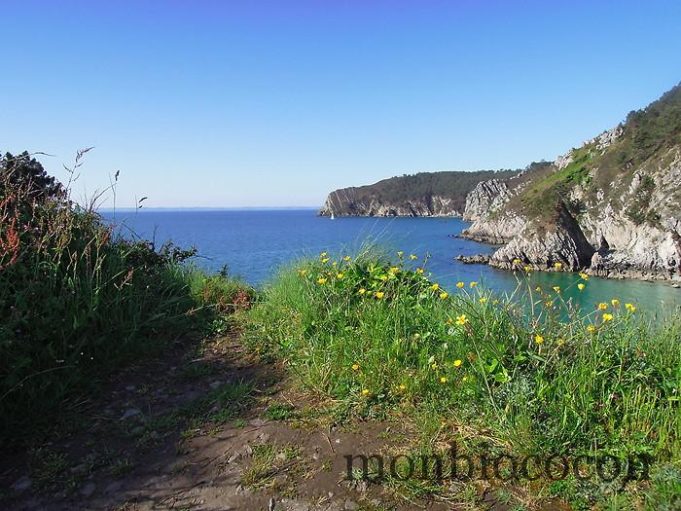 #2 Tourisme en Bretagne : Randonnée au Cap de la Chèvre tourisme-bretagne-randonnée-18