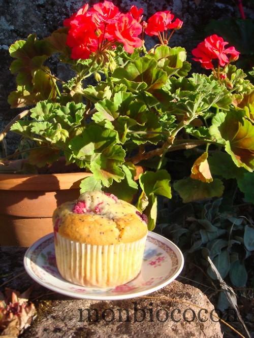 muffin-framboise-mure-moelleux