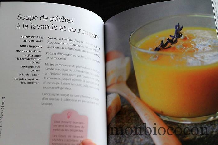 recettes-au-blender-larousse-livre-cuisine-8