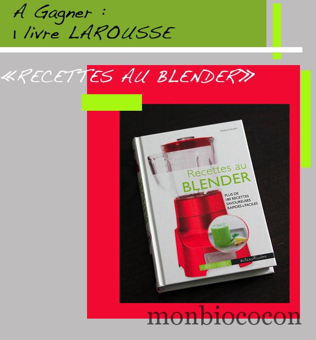 recettes-au-blender-larousse-livre-cuisine