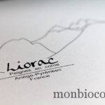peignes-corne-blonde-liorac-pyrénées-ariège-artisanat-4