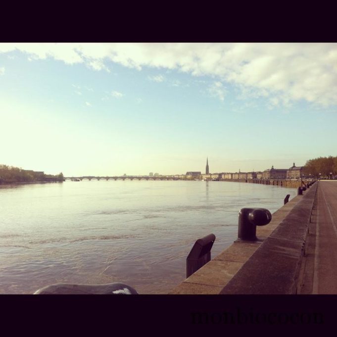 Le covoiturage c’est plus économique, même mamie le dit bordeaux-quais-pont-de-pierre-gironde-aquitaine