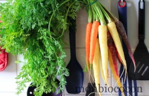 De la praticité de l’E-consommation (surtout en hiver) carotte-blanche-jaune-orange-violette