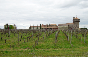 Oeno tourisme en Aquitaine: Château Smith Haut Lafitte et ses vignes de Pessac Léognan