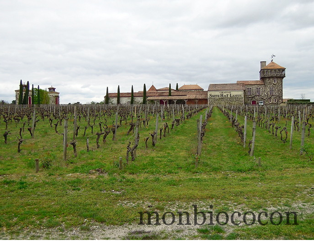 Oeno tourisme en Aquitaine: Château Smith Haut Lafitte et ses vignes de Pessac Léognan