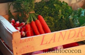 Les Petits Cageots : paniers de fruits & légumes livrés sur Bordeaux