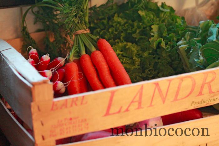 Les Petits Cageots : paniers de fruits & légumes livrés sur Bordeaux