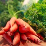 les-petits-cageots-panier-légume-fruit-bordeaux-6
