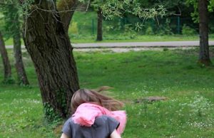 Colchiques dans les prés