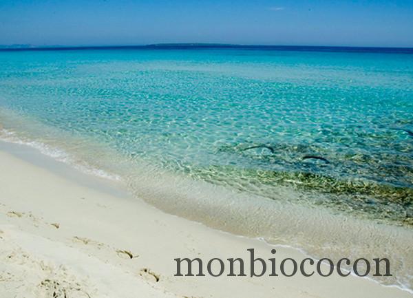 iles-baléares-formentera