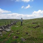 rando-plateau-aubrac-signal-mailhebiau-4