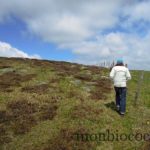 rando-plateau-aubrac-signal-mailhebiau-8