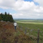rando-plateau-aubrac-signal-mailhebiau-9