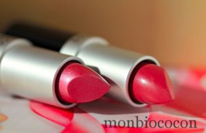 Benecos ou la suite de l’aventure