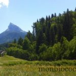 randonnée-chamechaude-chartreuse-sommet-2