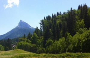 #3 Vacances dans les Alpes : en Chartreuse