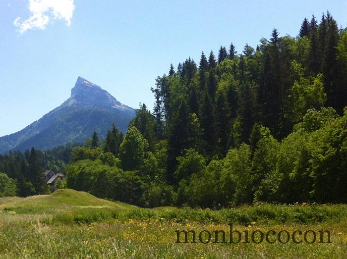 #3 Vacances dans les Alpes : en Chartreuse