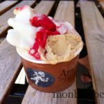 sorbet-bio-amorino-noisette-framboise-citron