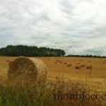week-end-en-dordogne-charente-00