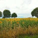 week-end-en-dordogne-charente-1