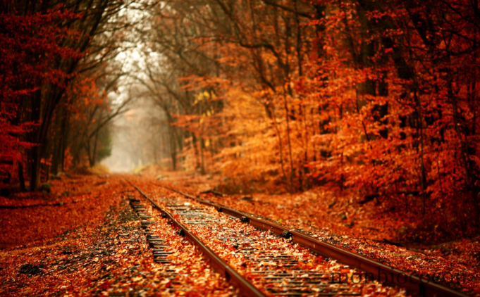 Autumn