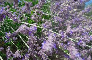 Pourquoi je traine encore sur les bancs de l’école à 26 ans ?