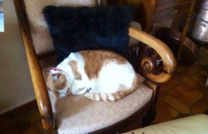 Un p’tit week-end à la campagne