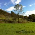 weekend-campagne-6