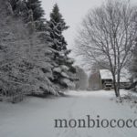 DSCN4826