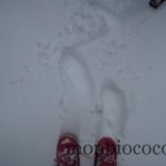 DSCN4834