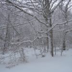 DSCN4835