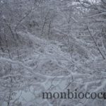 DSCN4836