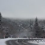 DSCN4876