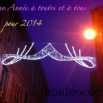 bonne-annee-2014