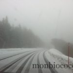 photo 1-2