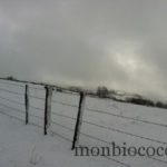 photo 1-3