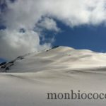 photo 1-1