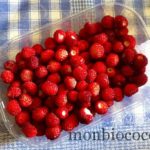 fraises-des-bois-du-jardin