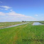 ile-d-oleron-gironde-decouverte-1