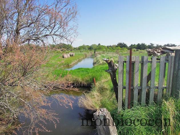 ile-d-oleron-gironde-decouverte-11