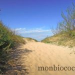 ile-d-oleron-gironde-decouverte-12