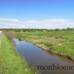 ile-d-oleron-gironde-decouverte-13