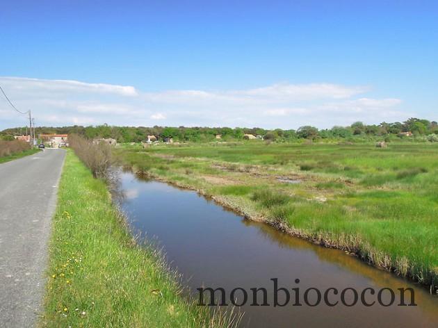 ile-d-oleron-gironde-decouverte-13