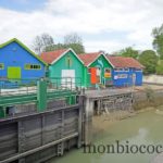 ile-d-oleron-gironde-decouverte