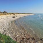 ile-d-oleron-gironde-decouverte-2
