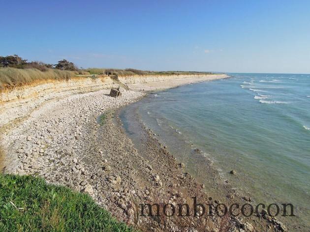 ile-d-oleron-gironde-decouverte-2