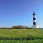 ile-d-oleron-gironde-decouverte-3