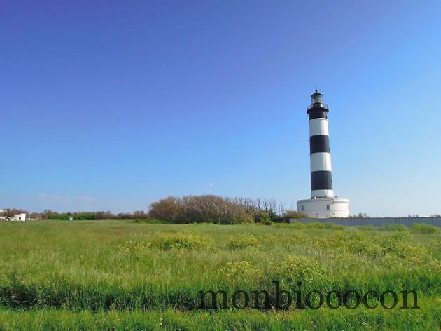 ile-d-oleron-gironde-decouverte-3